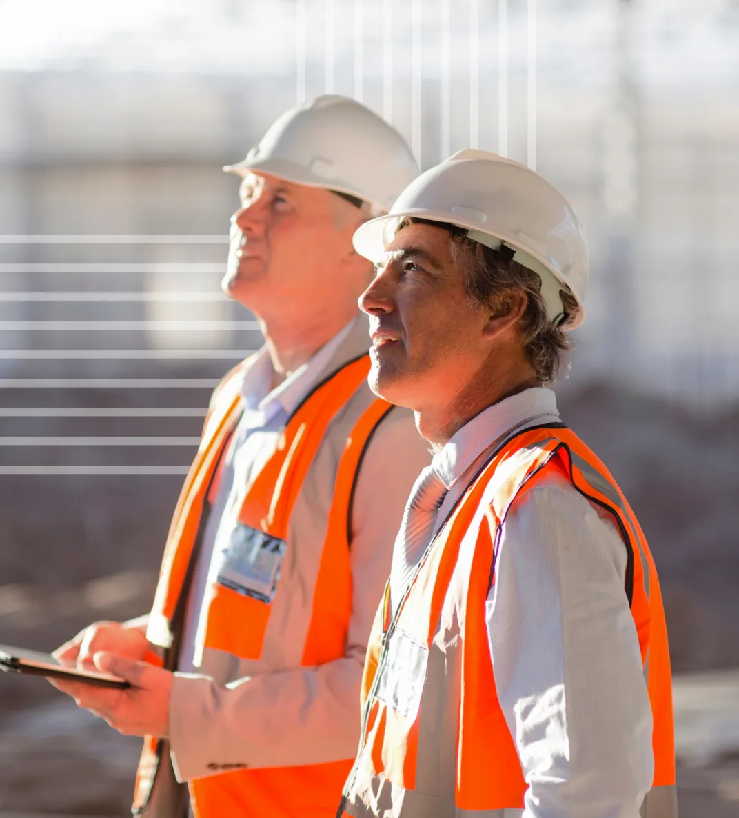 Program Management & Consulting